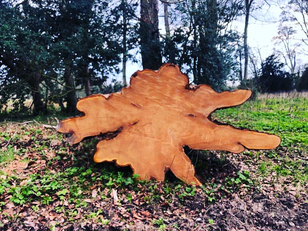 Beautiful English Hardwoods