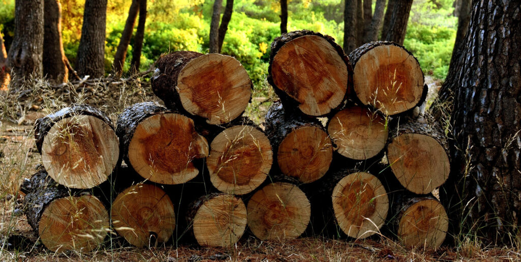 Goodwoods Timber Slider 1